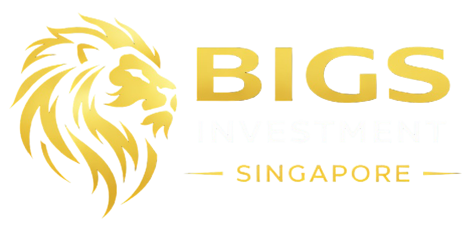 BIGS Investment Singapore Pte Ltd